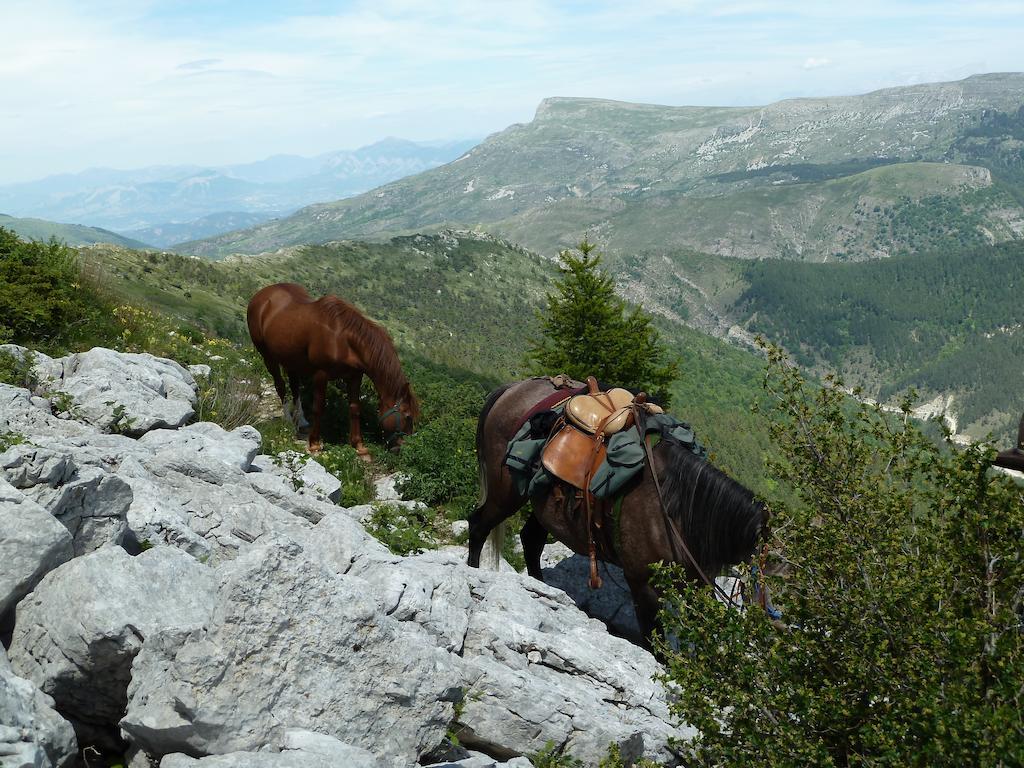 Gite Des Monges Sisteron Dış mekan fotoğraf