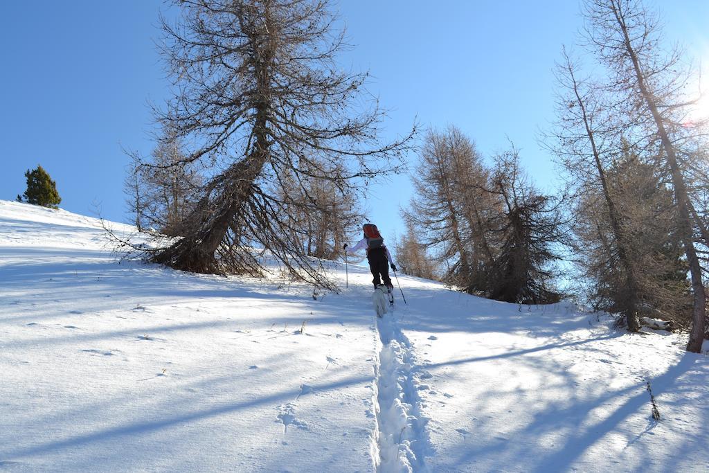 Gite Des Monges Sisteron Dış mekan fotoğraf