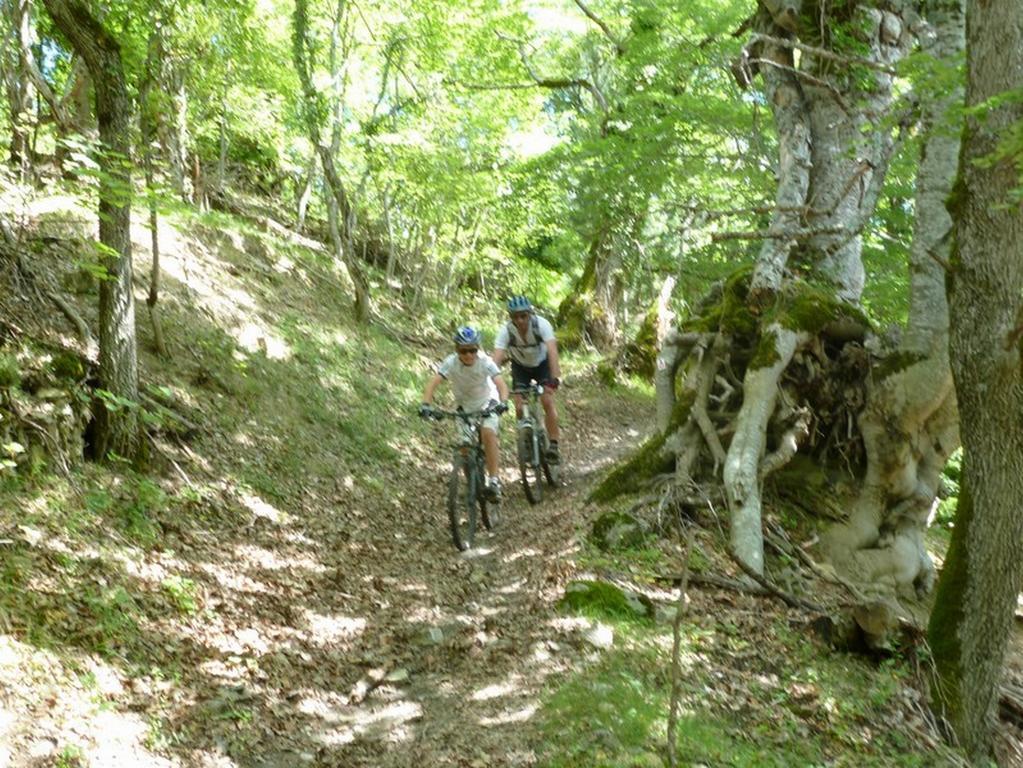 Gite Des Monges Sisteron Dış mekan fotoğraf